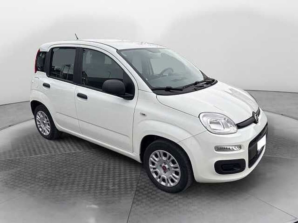 Fiat Panda usata a Siena (8)