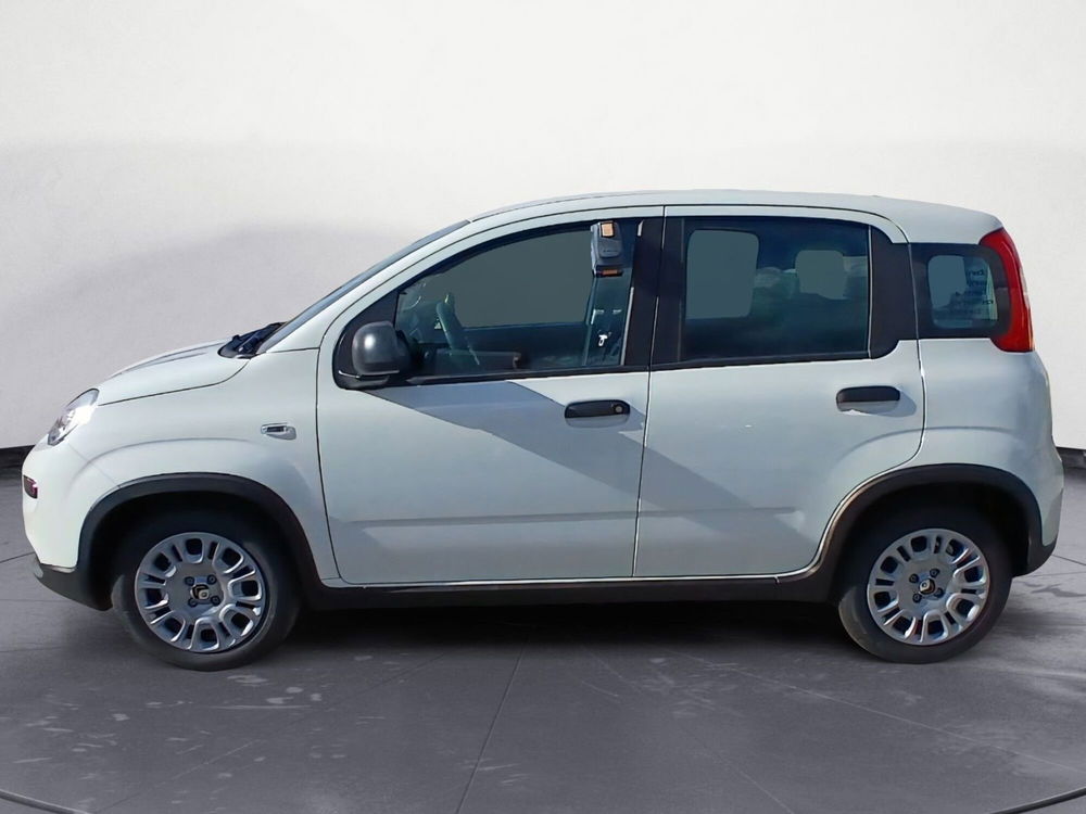 Fiat Panda Cross nuova a Lecce (2)