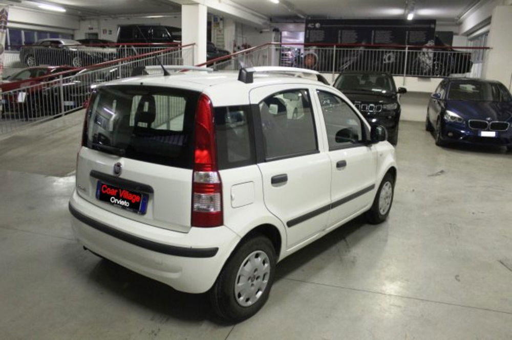 Fiat Panda usata a Terni (4)