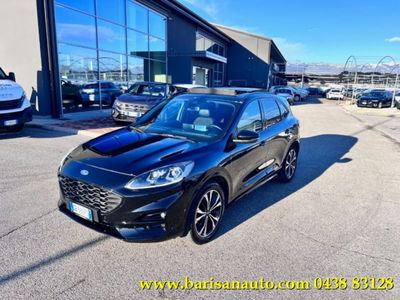 Ford Kuga 2.0 EcoBlue 190 CV aut. AWD ST-Line X  del 2020 usata a Pieve di Soligo