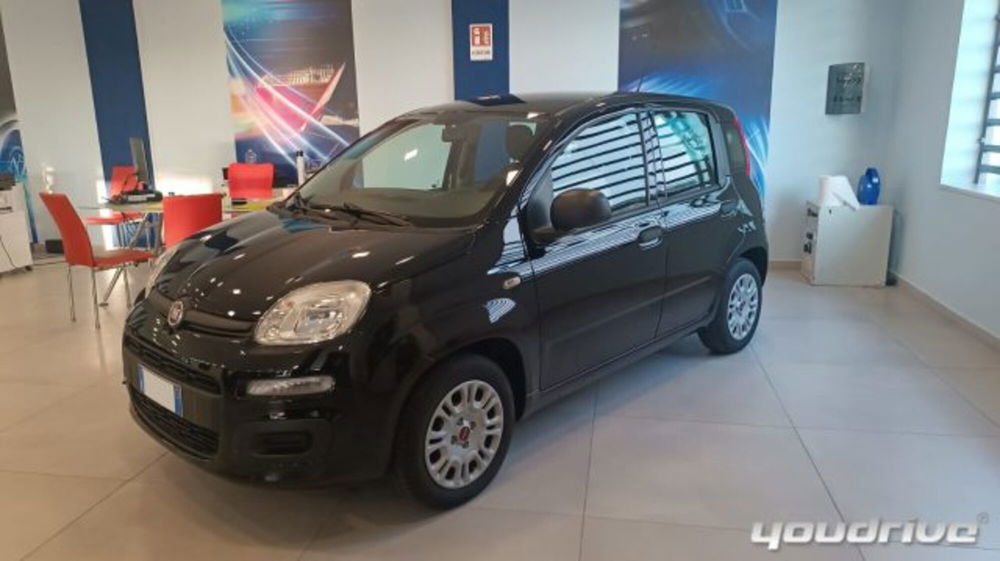 Fiat Panda usata a Napoli (2)