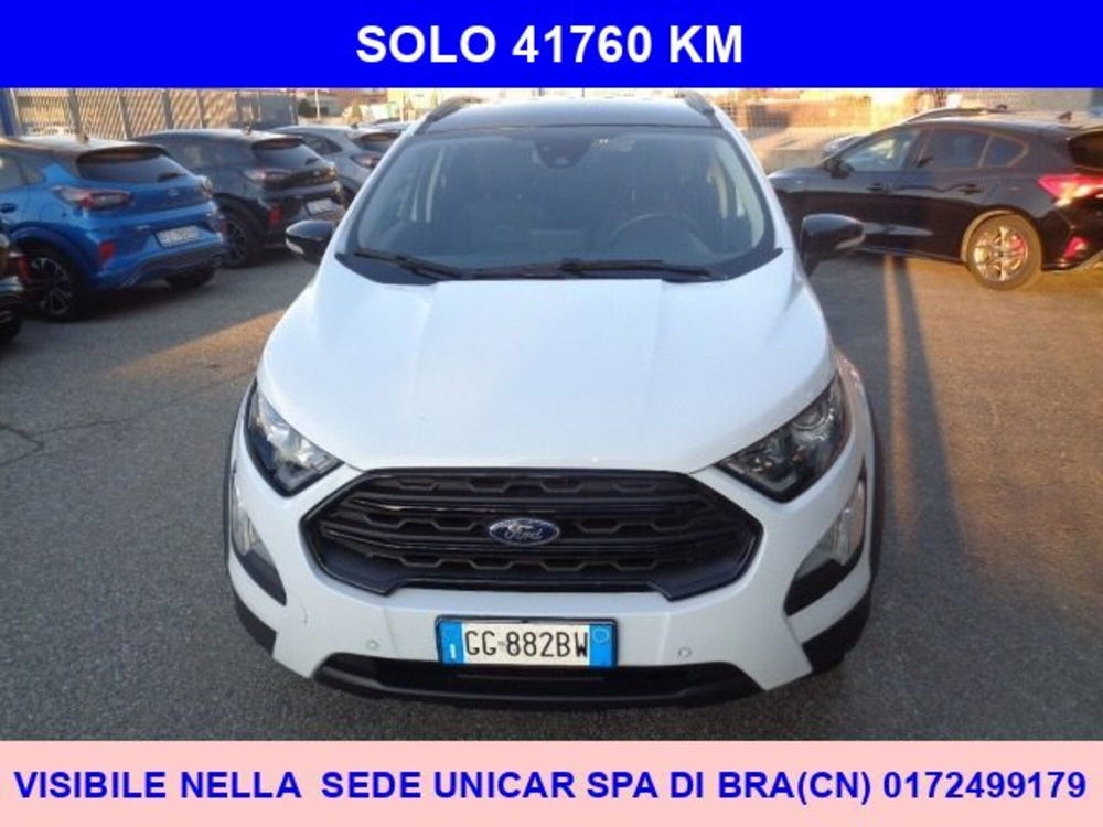 Ford EcoSport usata a Cuneo (2)