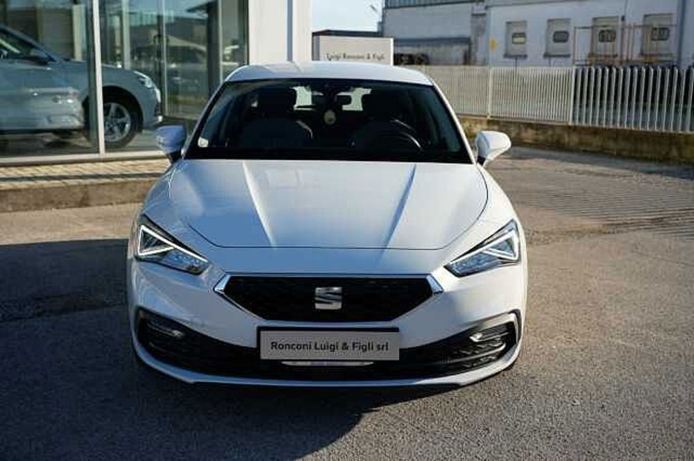 SEAT Leon usata a Rovigo (3)