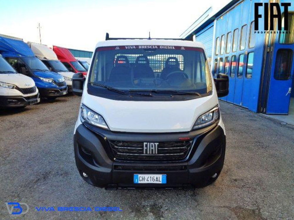 Fiat Ducato Telaio usata a Brescia (2)