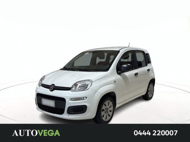 Fiat Panda 1.2 Easy  del 2019 usata a Arzignano