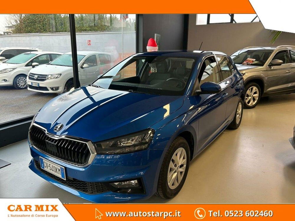 Skoda Fabia usata a Piacenza