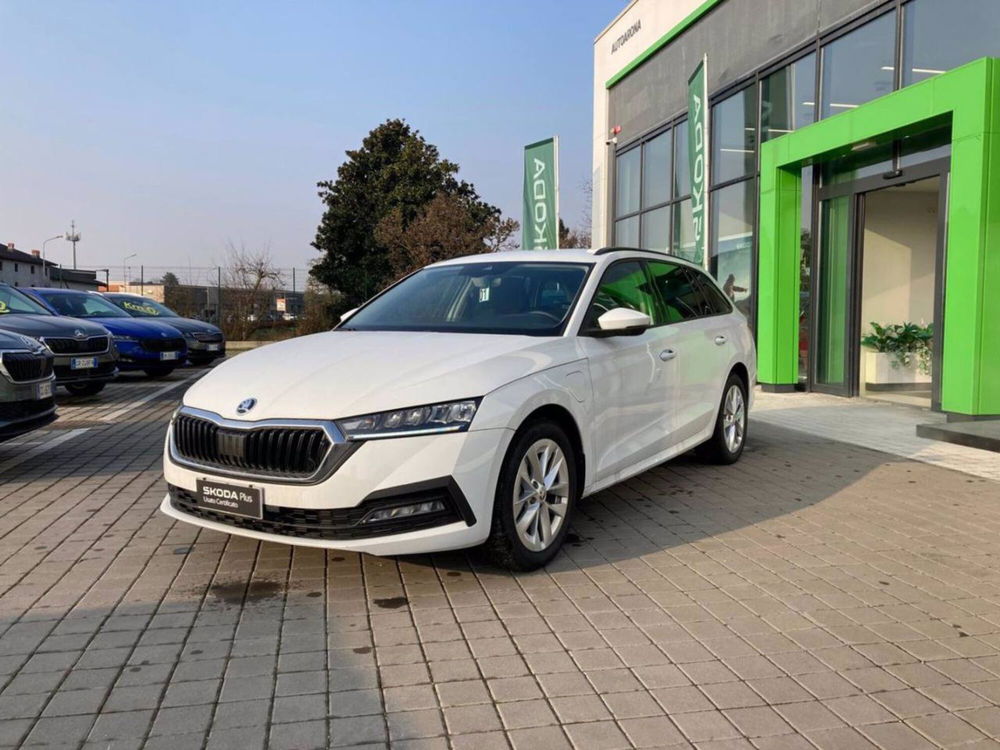 Skoda Octavia Station Wagon usata a Novara