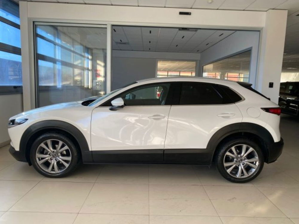 Mazda CX-30 usata a Modena (11)