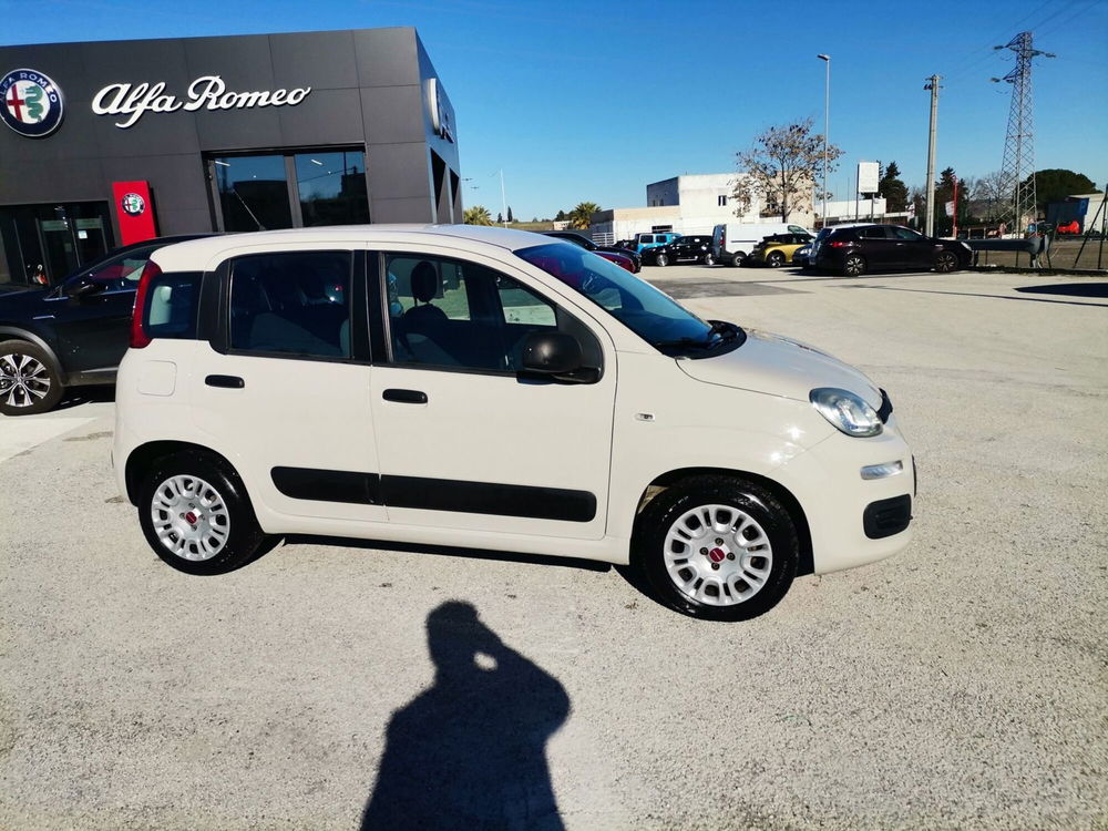 Fiat Panda usata a Matera (4)