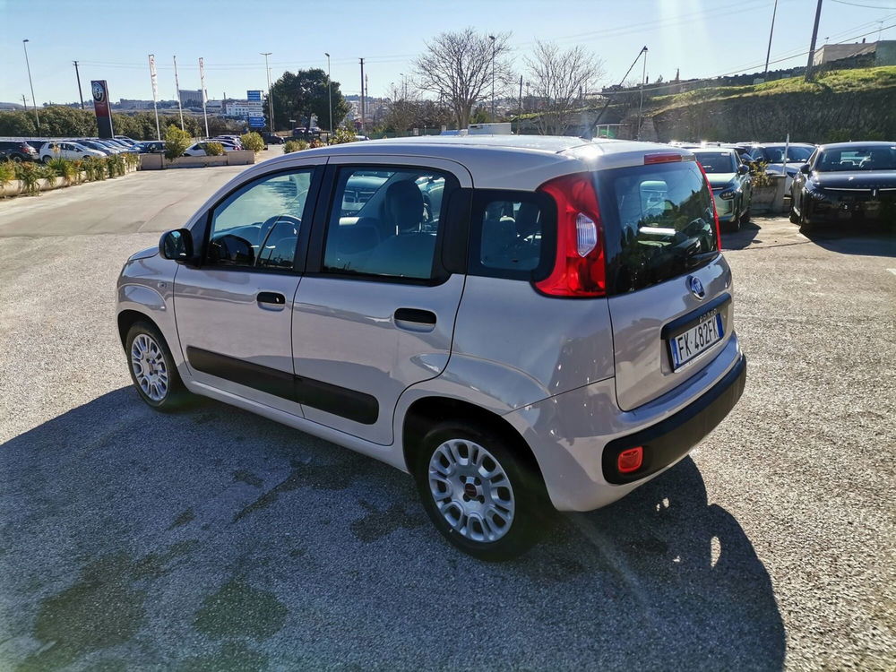 Fiat Panda usata a Matera (8)