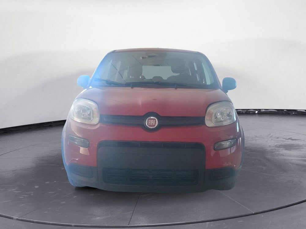 Fiat Panda Cross nuova a Lecce (5)