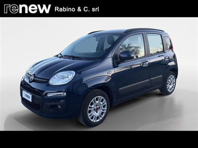 Fiat Panda 1.2 Pop  del 2021 usata a Pinerolo