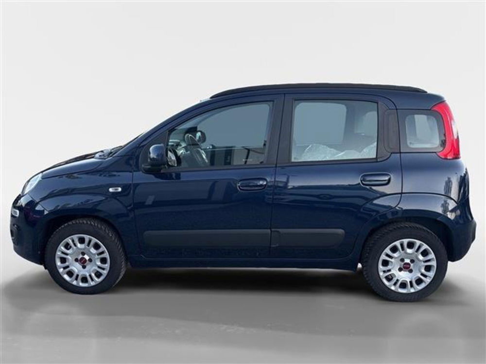 Fiat Panda usata a Torino (2)