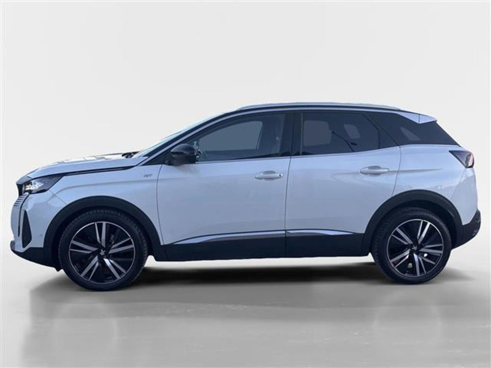 Peugeot 3008 usata a Torino (2)