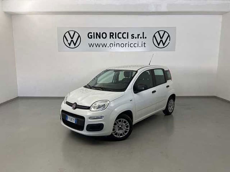 Fiat Panda 1.2 Easy  del 2019 usata a Cesena