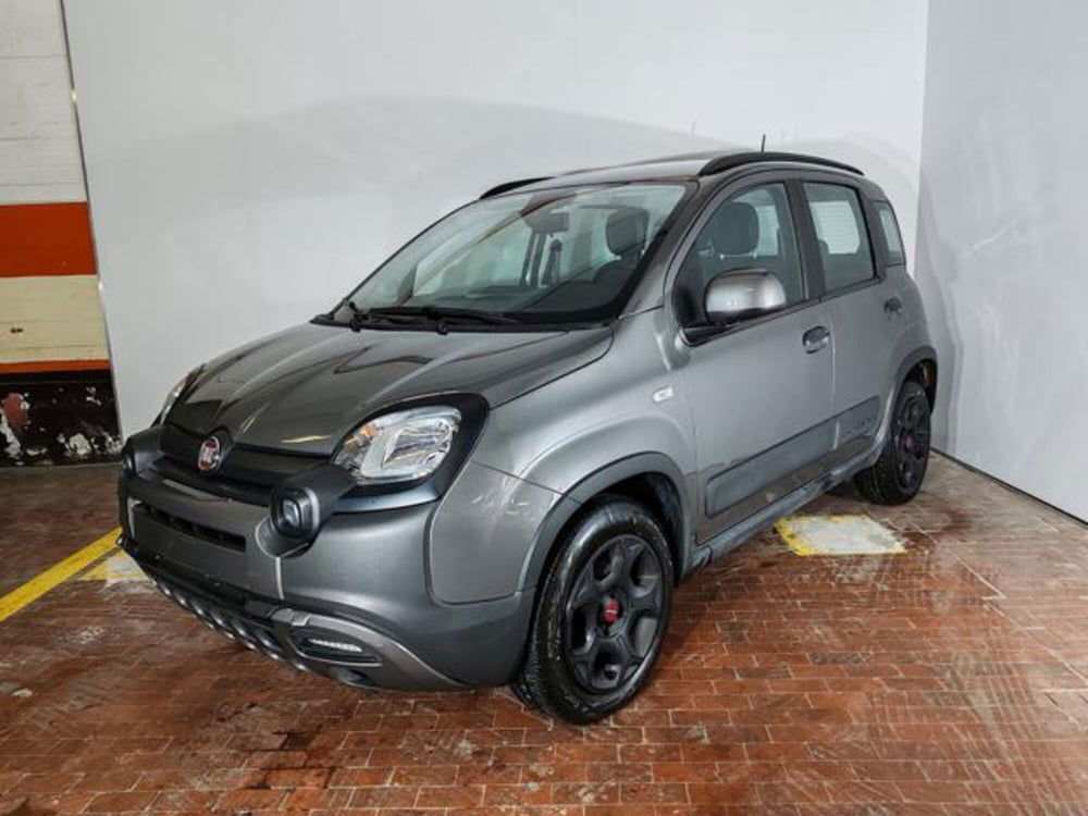 Fiat Panda Cross usata a Torino