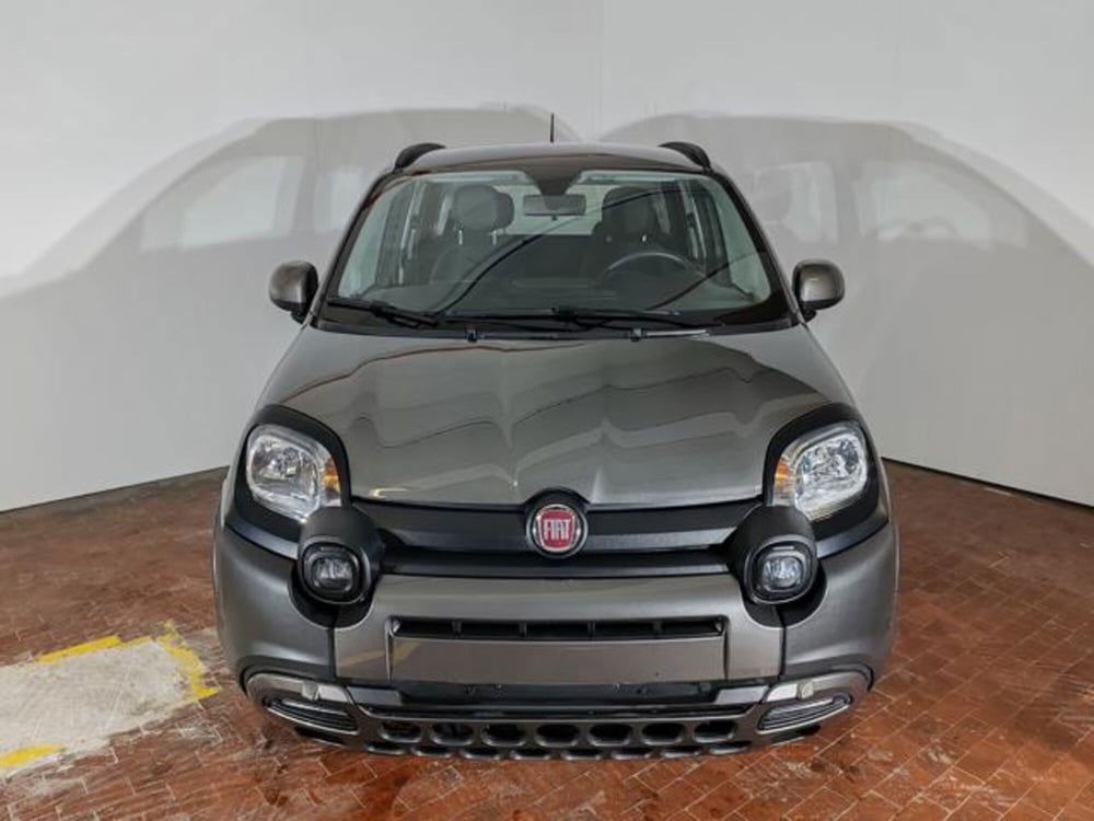 Fiat Panda Cross usata a Torino (2)