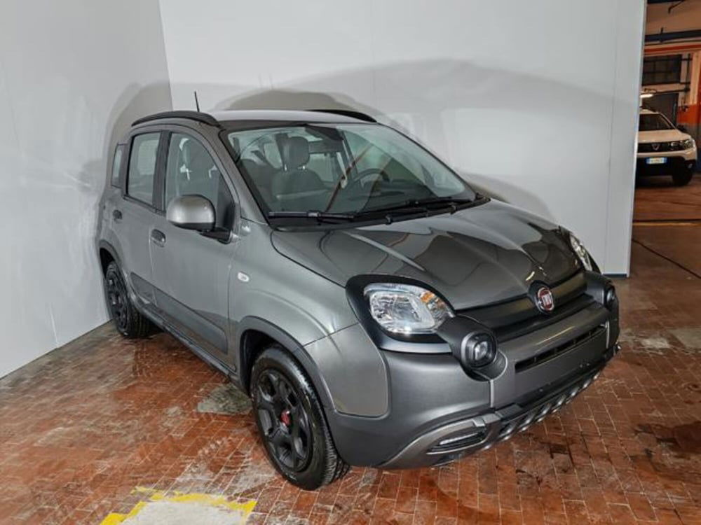 Fiat Panda Cross usata a Torino (3)