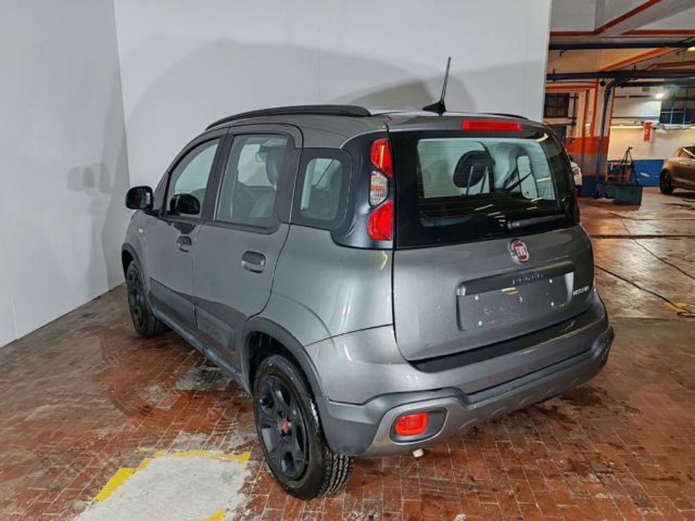 Fiat Panda Cross usata a Torino (7)