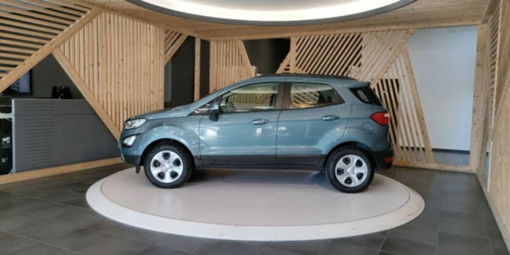 Ford EcoSport usata a Catanzaro (11)