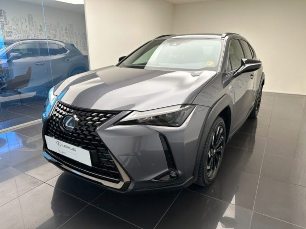 Lexus UX usata a Cuneo