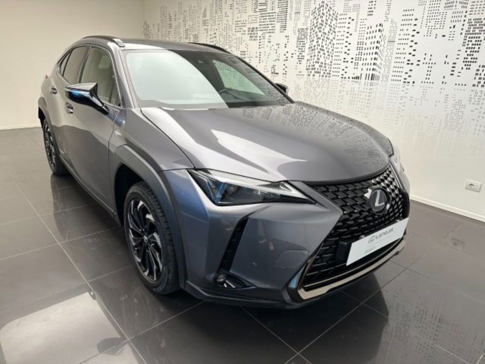 Lexus UX usata a Cuneo (2)