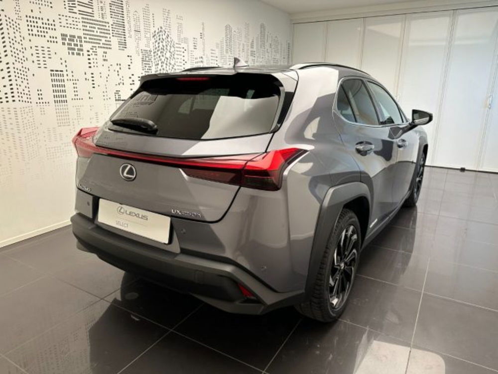 Lexus UX usata a Cuneo (3)