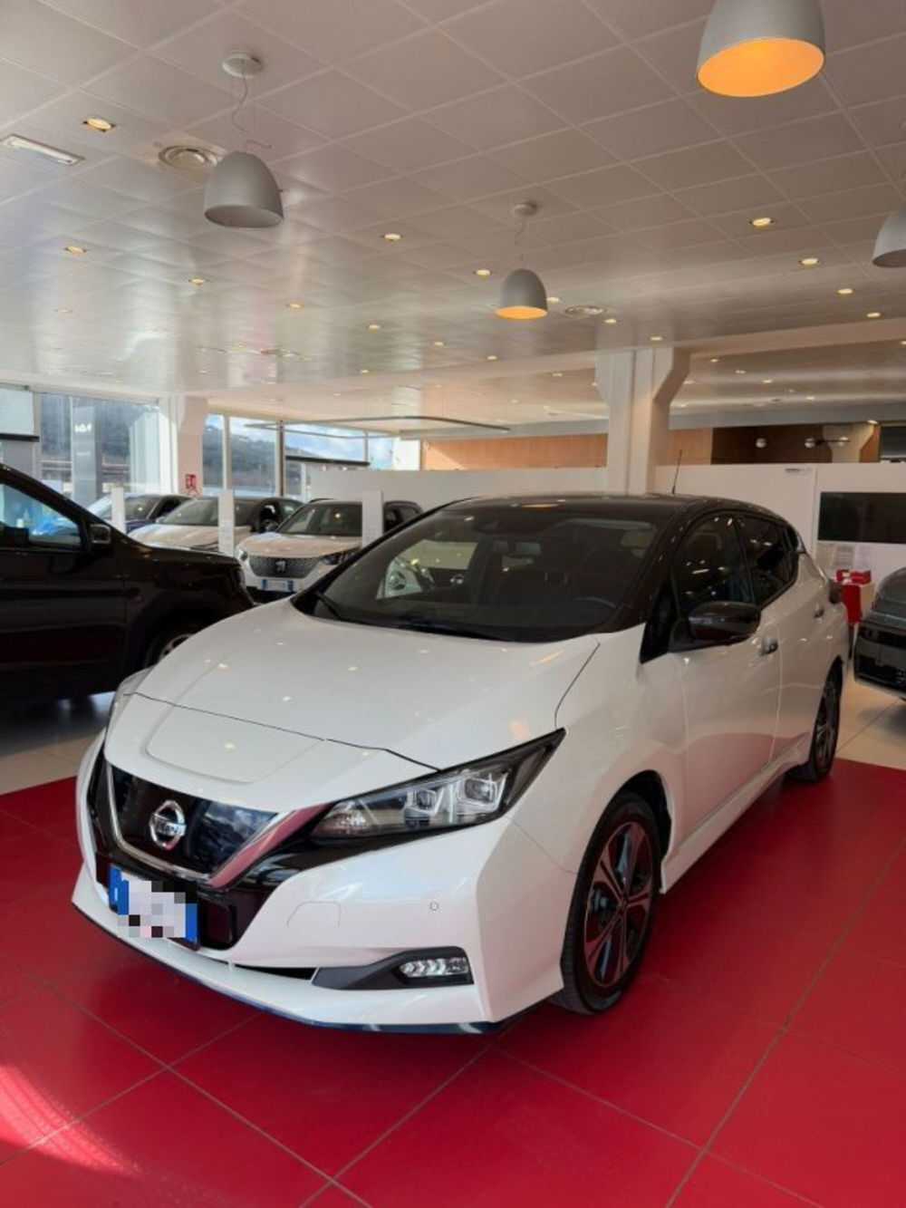 Nissan Leaf usata a Sassari