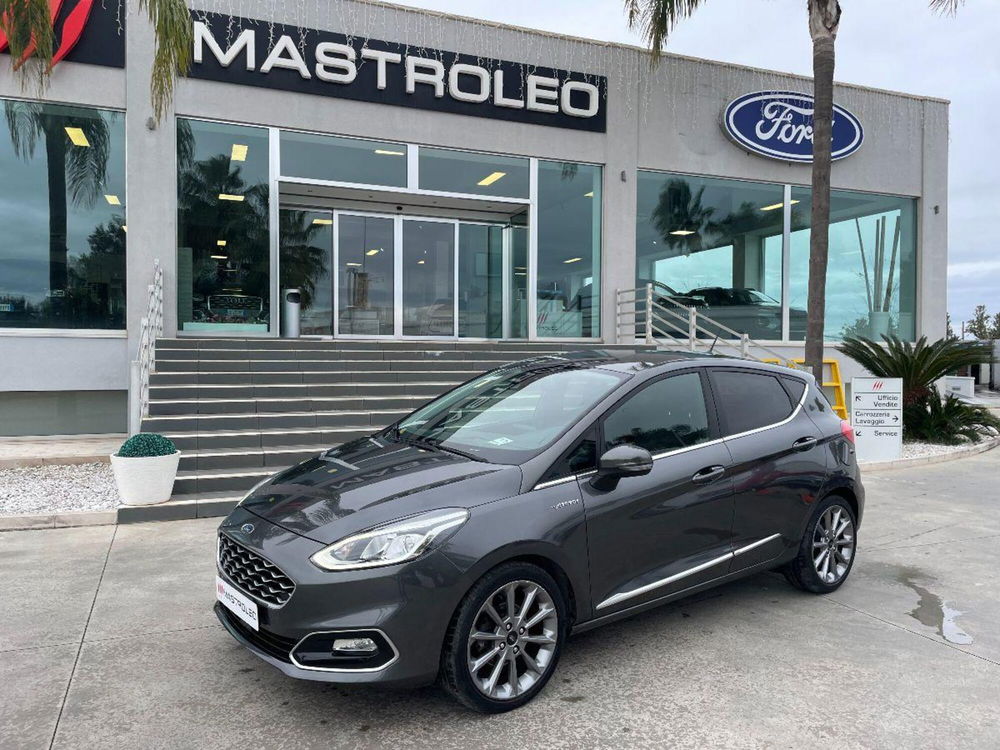 Ford Fiesta usata a Lecce (2)