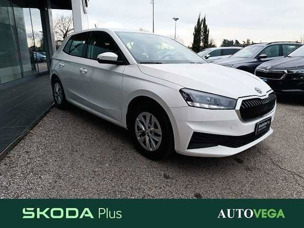 Skoda Fabia usata a Vicenza (3)