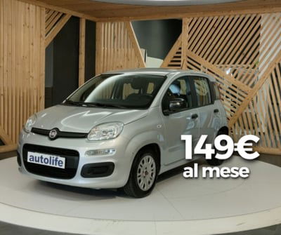 Fiat Panda 1.0 firefly hybrid s&amp;s 70cv 5p.ti del 2021 usata a Lamezia Terme