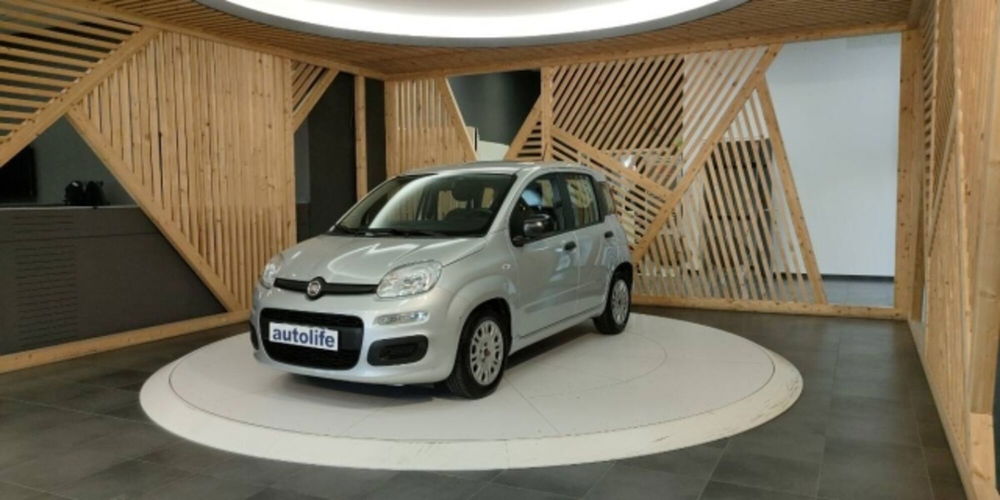 Fiat Panda usata a Catanzaro (12)