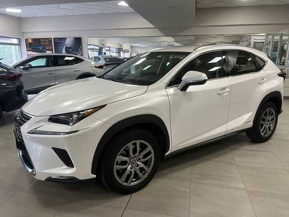 Lexus NX usata a Ravenna