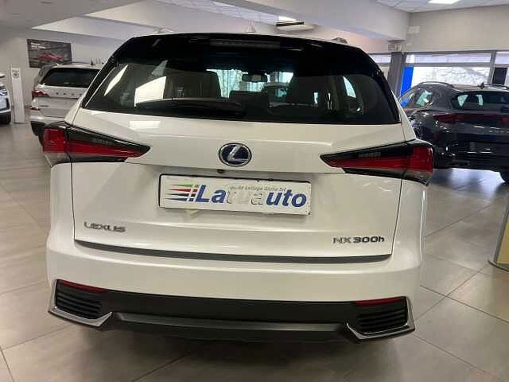 Lexus NX usata a Ravenna (13)