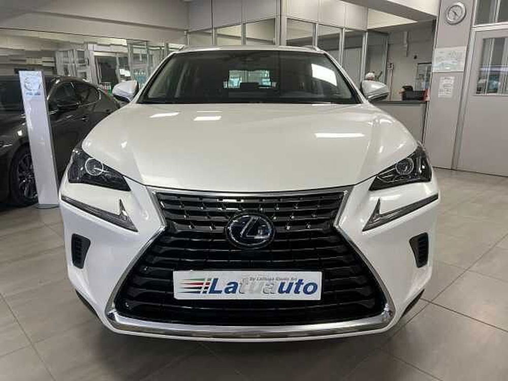 Lexus NX usata a Ravenna (2)