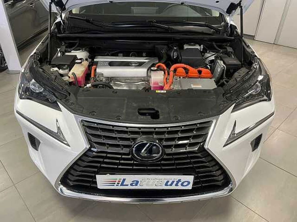 Lexus NX usata a Ravenna (12)