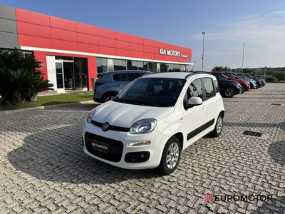 Fiat Panda 1.2 EasyPower Lounge  del 2019 usata a Modugno