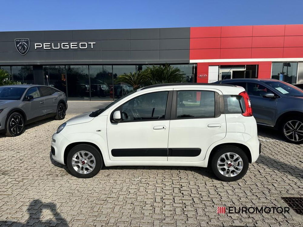 Fiat Panda usata a Bari (8)