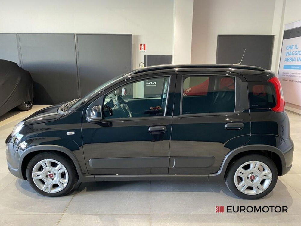 Fiat Panda usata a Bari (9)