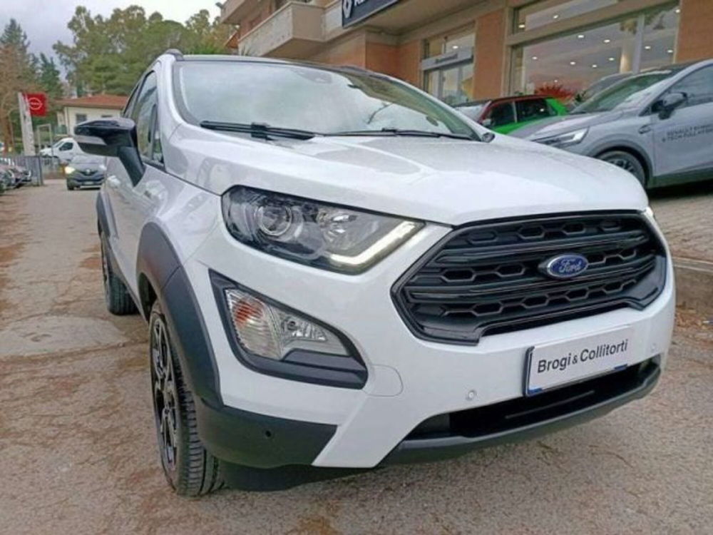 Ford EcoSport usata a Firenze