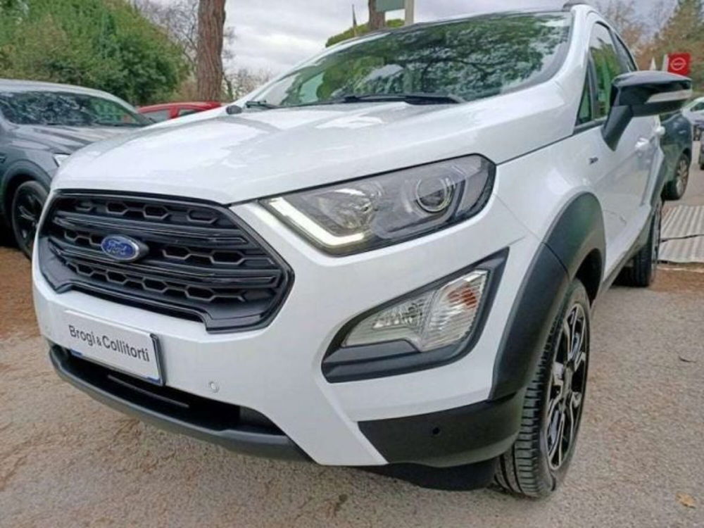 Ford EcoSport usata a Firenze (3)