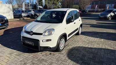 Fiat Panda van 1.0 hybrid Street 70cv 4p.ti serie 4 E6d del 2023 usata a Legnano