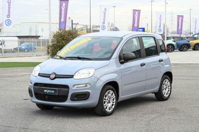 Fiat Panda 1.2 Easy  del 2020 usata a Pianezza