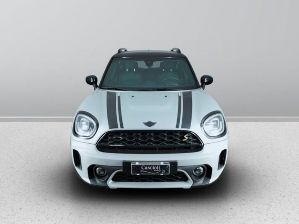 MINI Mini Countryman usata a Teramo (2)