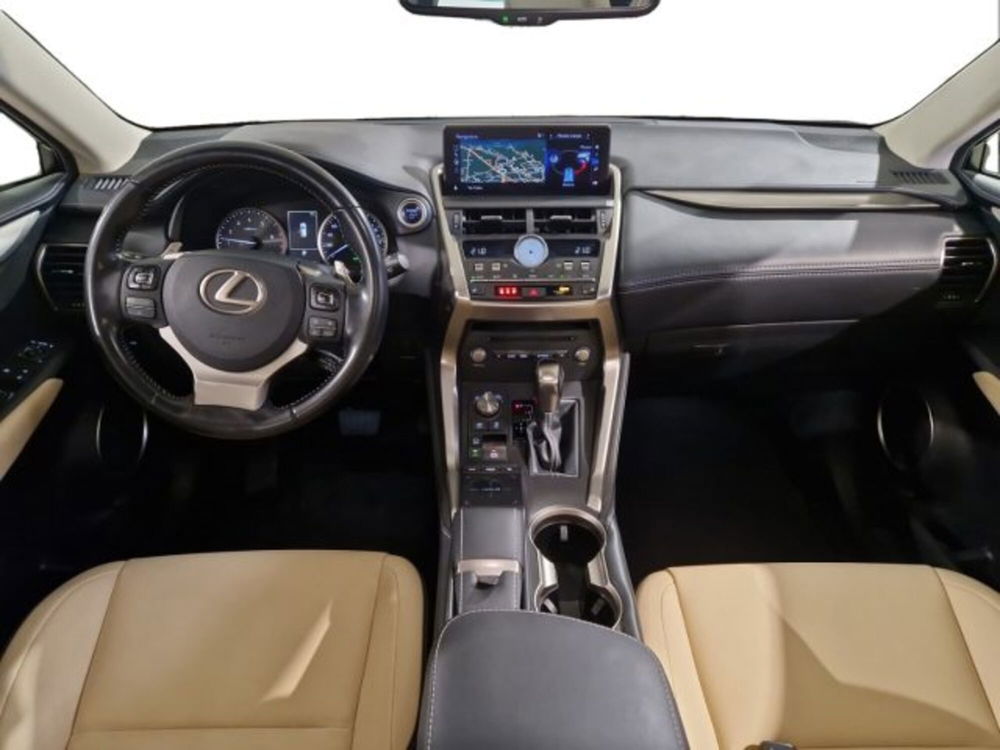 Lexus NX usata a Livorno (10)