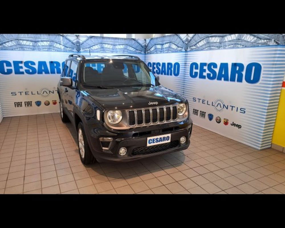 Jeep Renegade usata a Aosta (2)