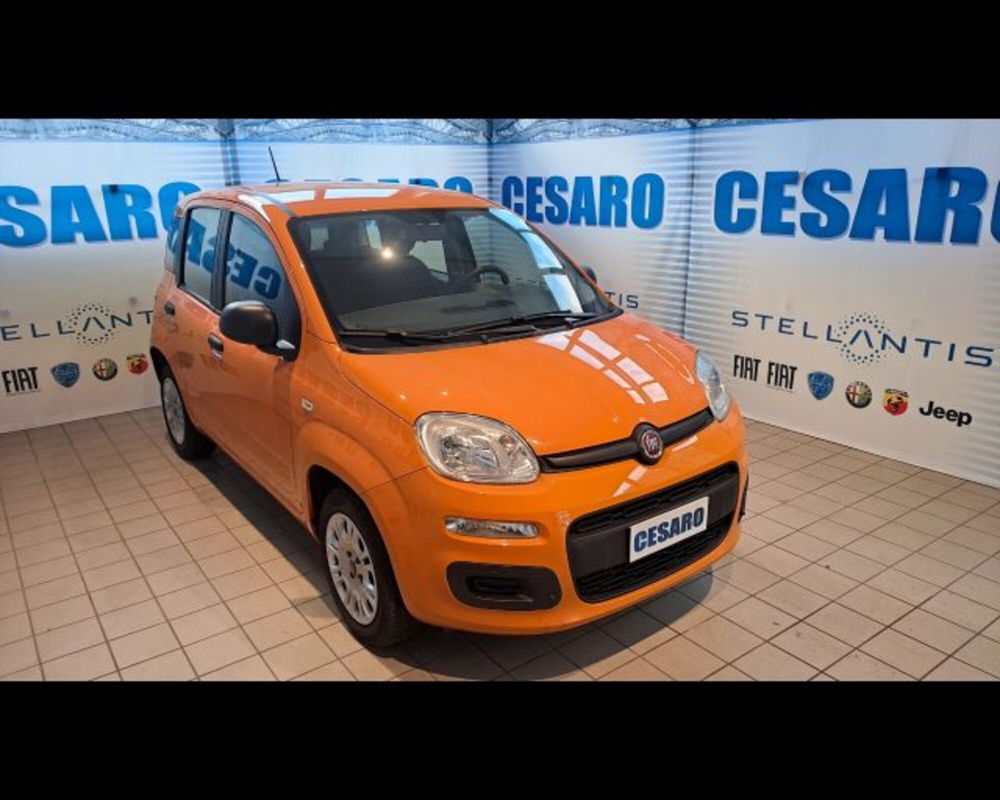 Fiat Panda usata a Aosta (2)