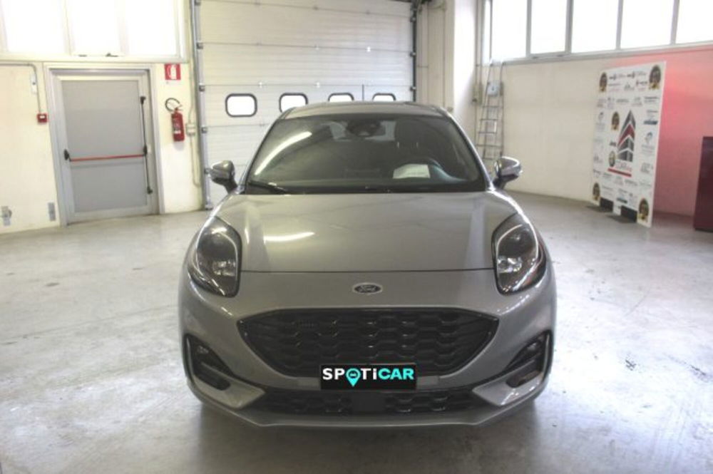 Ford Puma usata a Terni (2)