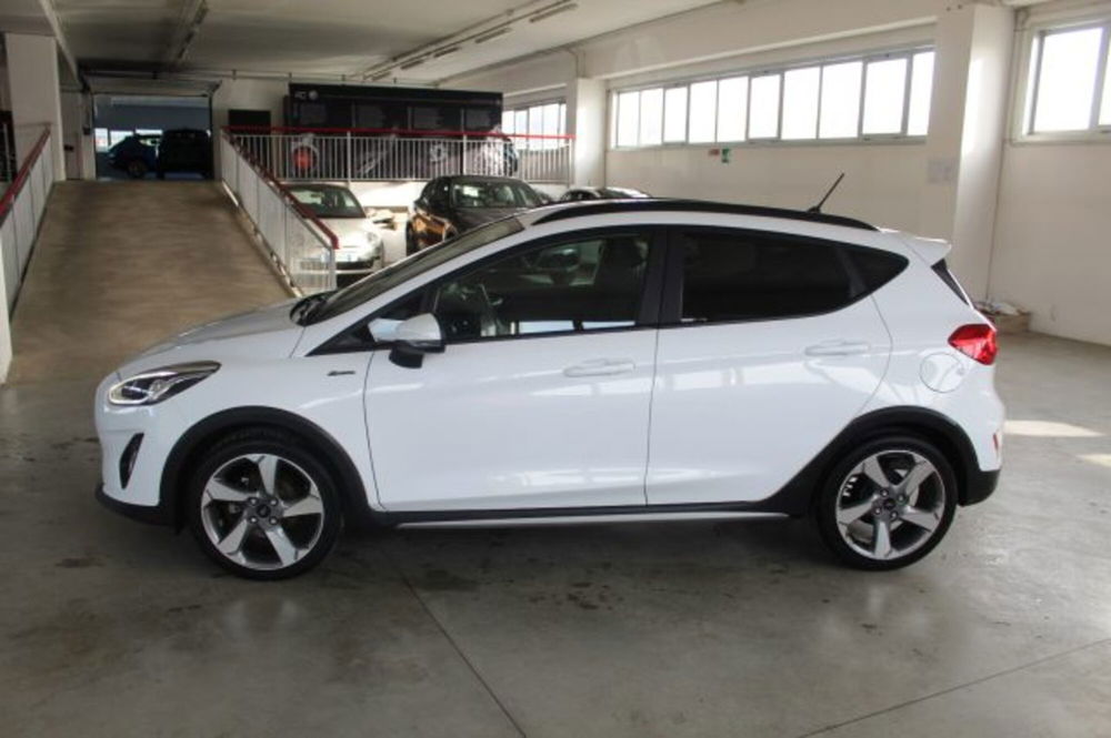 Ford Fiesta usata a Terni (3)