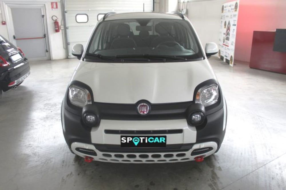 Fiat Panda Cross usata a Terni (2)